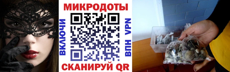 Псилоцибиновые грибы прущие грибы  Сальск 