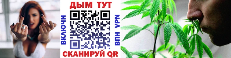 Канабис план  купить закладку  Сальск 